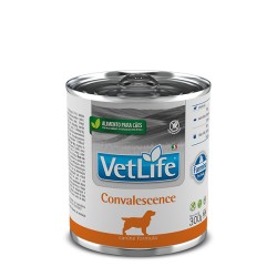 VET NAT CANINE WET CONVALESCENCE 0,3KG