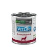 VET NAT CANINE WET GASTROINTESTINAL 0,3KG