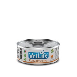 VET NAT FELINE WET CONVALESCENCE 0,085KG