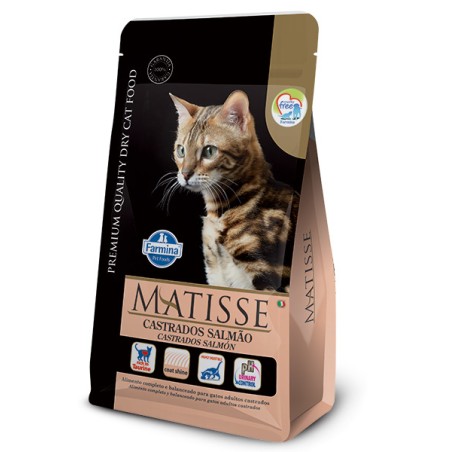 MATISSE CASTRADOS SALMAO 15KG