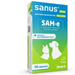 AVE SANUS 200MG CAPS X 30