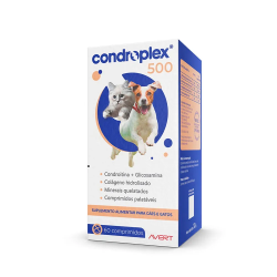 CONDROPLEX 500 X 60 COMP